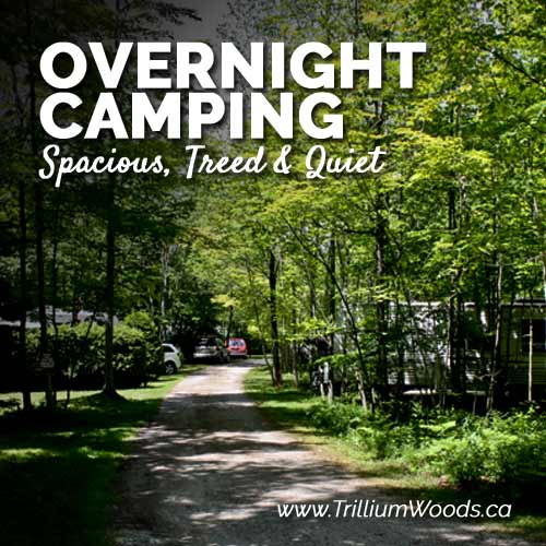Overnight Camping 